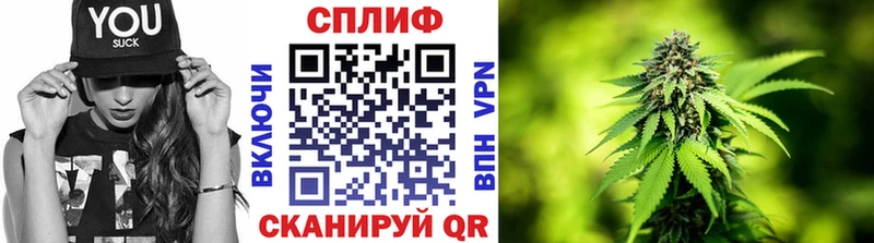 Где купить наркоту Черкесск Экстази ГАШИШ МЕТАДОН COCAIN A-PVP МАРИХУАНА Амфетамин
