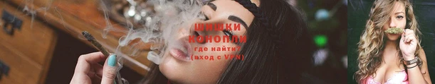 трава Надым
