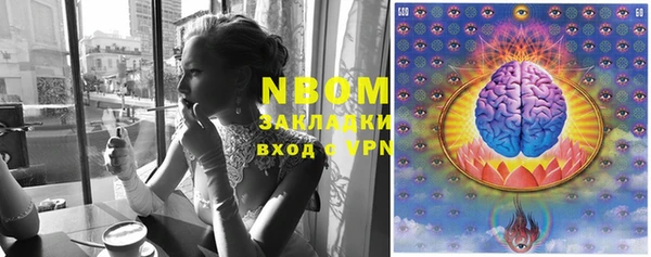 трава Надым
