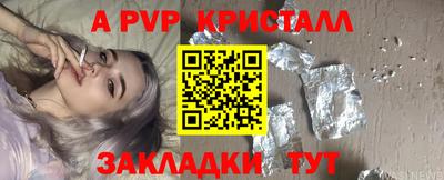 спиды Гатчина