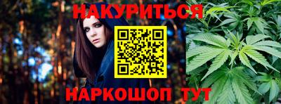 спиды Гатчина