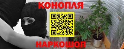 спиды Гатчина