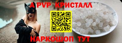 спиды Гатчина