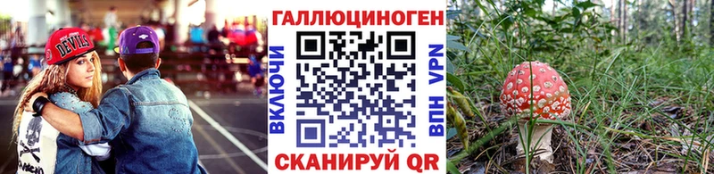 Псилоцибиновые грибы мицелий  Черкесск 