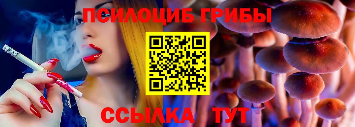Галлюциногенные грибы GOLDEN TEACHER  Псилоцибиновые грибы Magic Shrooms  купить   Вход с VPN  Черкесск 